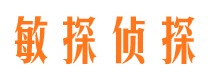 新田市侦探公司